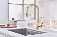 Смеситель для кухни Paulmark Universal Un213880-SBG светлое брашированное золото
