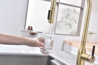 Смеситель для кухни Paulmark Universal Un213880-SBG светлое брашированное золото