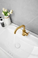 Смеситель для раковины BELZ B810 B10810-5 золото Смеситель для раковины BELZ B810 B10810-5 золото
