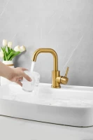 Смеситель для раковины BELZ B810 B10810-5 золото Смеситель для раковины BELZ B810 B10810-5 золото