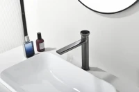 Смеситель для раковины Black&White Gravity 7307GM gun metal