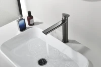 Смеситель для раковины Black&White Gravity 7307GM gun metal