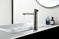 Смеситель для раковины Black&White Gravity 7307GM gun metal