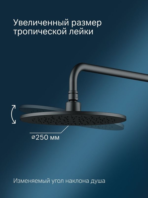 Душевая стойка AM.PM Like F0780222 черная