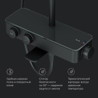 Душевая стойка AM.PM Inspire V2.0 F0750A522 с термостатом, черная
