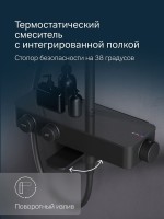 Душевая стойка AM.PM Inspire V2.0 F0750A522 с термостатом, черная