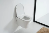 Унитаз подвесной Orange C01 C01-100W безободковый, с микролифтом