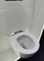 Унитаз подвесной BOND Oval F01-10 безободковый, с микролифтом, белый