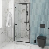Душевая дверь в нишу Ceruttispa Bella D101B 100 см, профиль черный