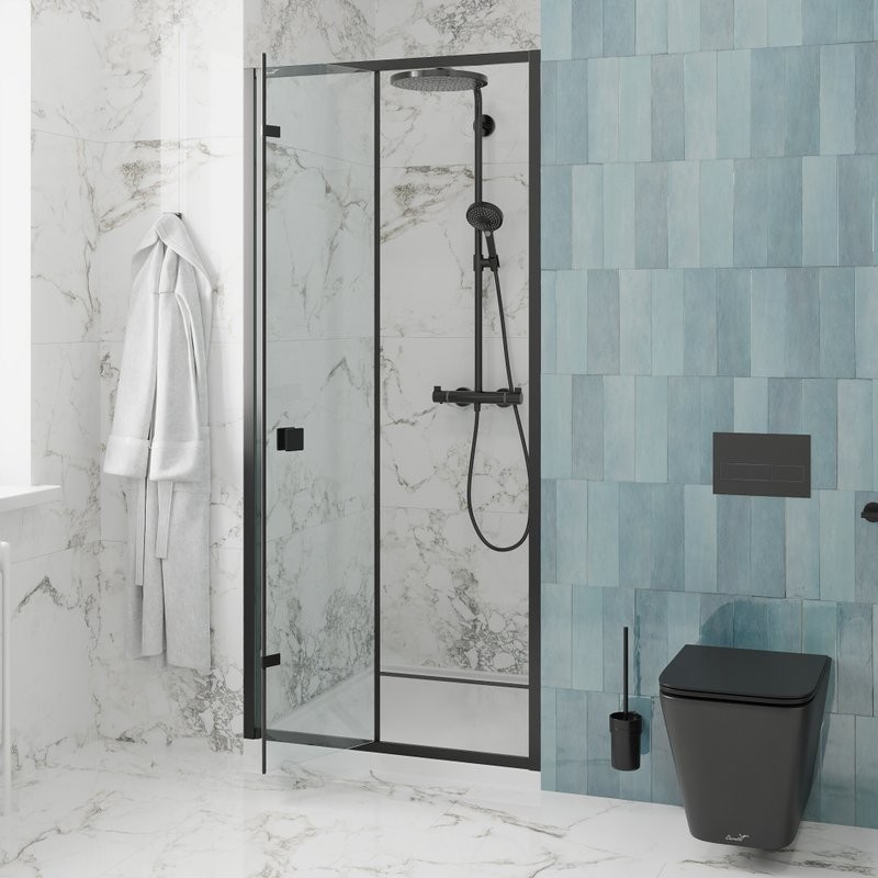 Душевая дверь в нишу Ceruttispa Bella D101B 100 см, профиль черный