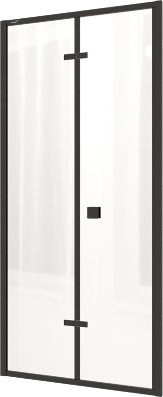 Душевая дверь в нишу Ceruttispa Bella D101B 100 см, профиль черный