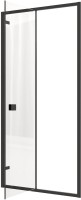 Душевая дверь в нишу Ceruttispa Bella D101B 100 см, профиль черный