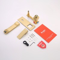 Смеситель для раковины встраиваемый Raglo R01.11.03, золотой сатин