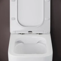 Комплект Унитаз приставной Ceramicanova Cubic Rimless CN1809 с микролифтом, безободковый + Кнопка VitrA 740-0940 сталь + Бачок