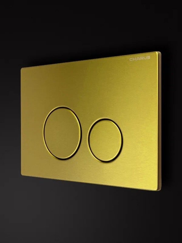 Кнопка смыва для унитаза CHARUS Robusto FP.330.BG.05 нержавеющая сталь