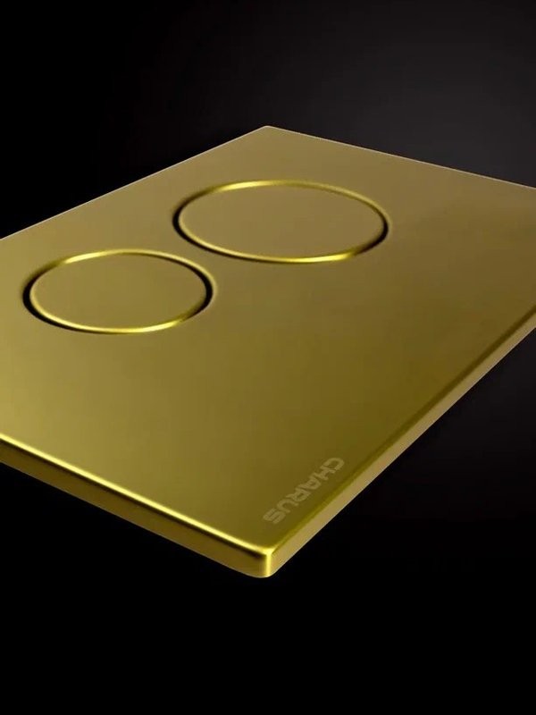 Кнопка смыва для унитаза CHARUS Robusto FP.330.BG.05 нержавеющая сталь