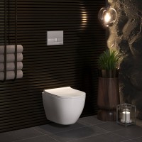 Унитаз подвесной Berges Okus 082127 с микролифтом
