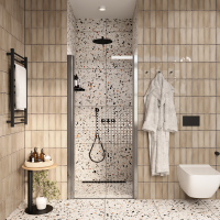 Душевая дверь в нишу Parly DE70 70x185