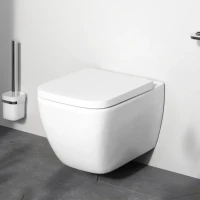 Унитаз подвесной AM.PM Gem C901701SC безободковый, с микролифтом