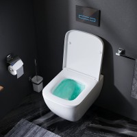 Унитаз подвесной AM.PM Gem C901701SC безободковый, с микролифтом