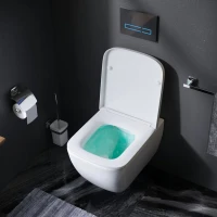 Унитаз подвесной AM.PM Gem C901701SC безободковый, с микролифтом