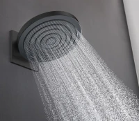 Верхний душ Hansgrohe Pulsify S 260 2jet 24150670 матовый черный