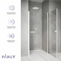 Душевая дверь в нишу Parly DE90F 90x185, профиль белый, стекло матовое
