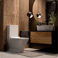 Унитаз напольный Aquame AQM1005PRO с сиденьем без бачка