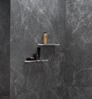 Полка Hansgrohe Rainfinity 26844000