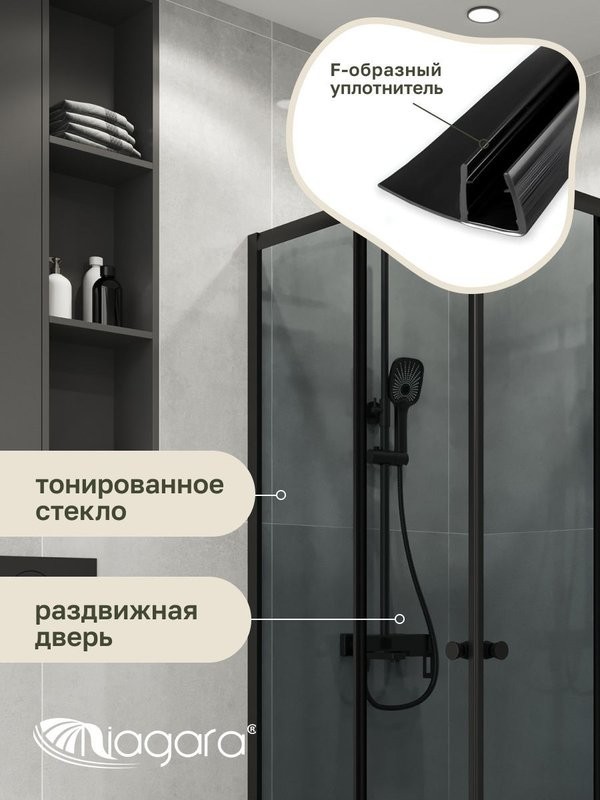 Душевая перегородка Niagara Eco NG-1010-14QT (100x100x190 см)