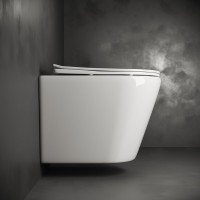 Унитаз подвесной Ceramicanova Highlight Rimless CN1804 с микролифтом, безободковый