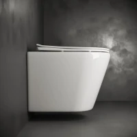 Унитаз подвесной Ceramicanova Highlight Rimless CN1804 с микролифтом, безободковый
