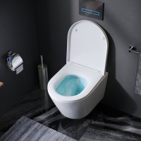 Унитаз подвесной AM.PM Sense C741701SC безободковый, с микролифтом