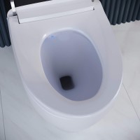 Умный унитаз напольный RGW SW-30 безободковый, с микролифтом, белый