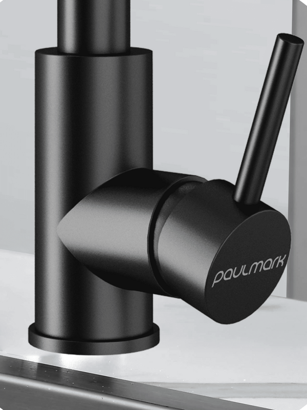 Смеситель для кухни Paulmark Twin Tw213622-GM вороненая сталь