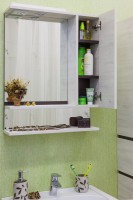 Зеркало Sanflor Техас R, 60, венге, северное дерево светлое