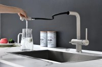 Смеситель для кухни Paulmark Serpentine Se213222-BE бежевый