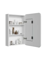 Зеркало-шкаф Alavann Cosmetic 60x80 с приближением, глянцевый белый