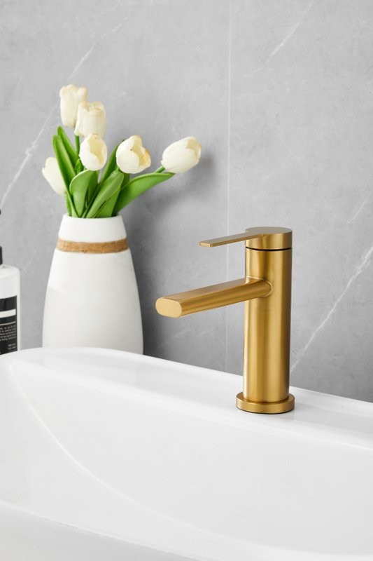 Смеситель для раковины BELZ B813 B10813-5 золото