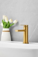 Смеситель для раковины BELZ B813 B10813-5 золото Смеситель для раковины BELZ B813 B10813-5 золото