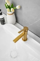 Смеситель для раковины BELZ B813 B10813-5 золото Смеситель для раковины BELZ B813 B10813-5 золото