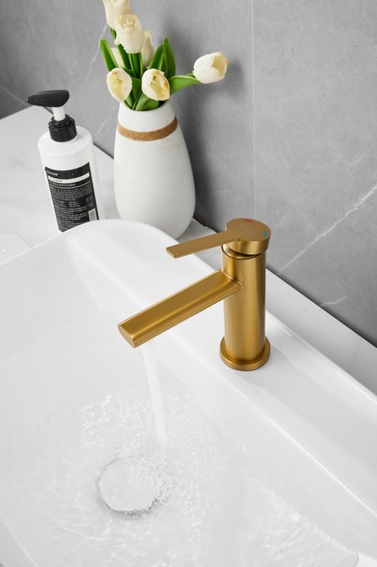 Смеситель для раковины BELZ B813 B10813-5 золото