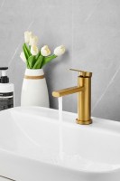 Смеситель для раковины BELZ B813 B10813-5 золото Смеситель для раковины BELZ B813 B10813-5 золото