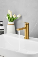Смеситель для раковины BELZ B813 B10813-5 золото Смеситель для раковины BELZ B813 B10813-5 золото