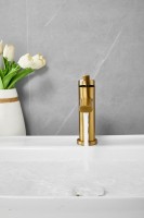 Смеситель для раковины BELZ B813 B10813-5 золото Смеситель для раковины BELZ B813 B10813-5 золото