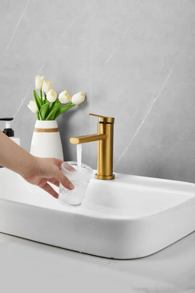 Смеситель для раковины BELZ B813 B10813-5 золото