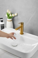 Смеситель для раковины BELZ B813 B10813-5 золото Смеситель для раковины BELZ B813 B10813-5 золото