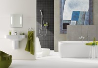 Душевая лейка Grohe Euphoria Cosmopolitan 27367000