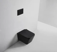 Унитаз подвесной BOND Cube F04-108 безободковый, с микролифтом, черный