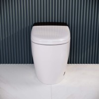 Умный унитаз напольный RGW SW-31 безободковый, с микролифтом, белый